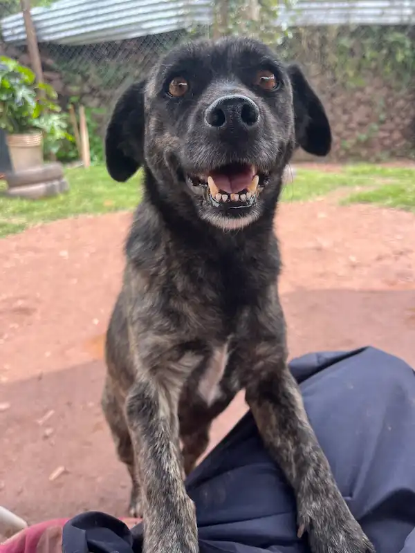 Pequeña