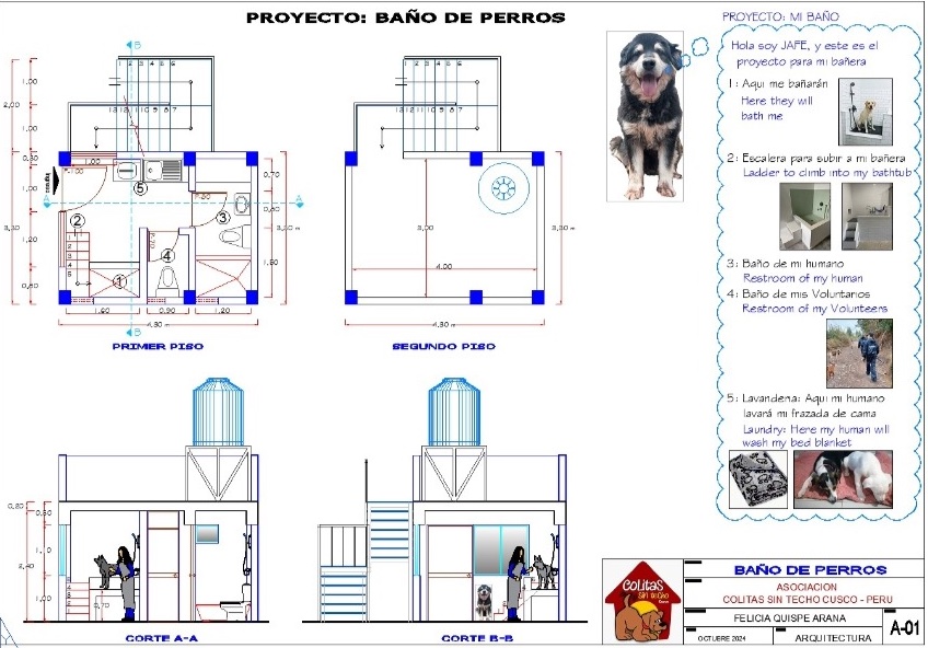 Plano del baño para perros y voluntarios