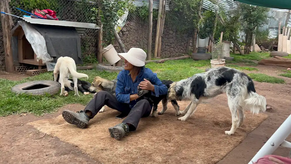 Felicia junto a perritos del refugio