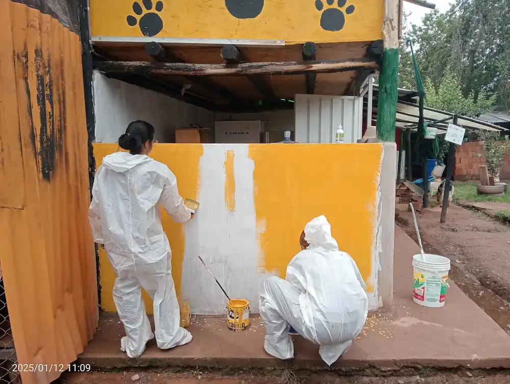 Voluntarias pintando