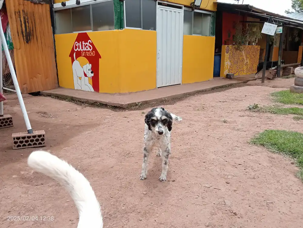 Queso en el albergue