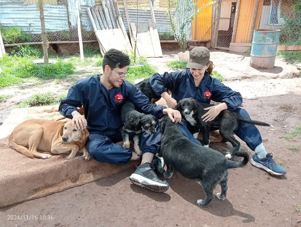 Voluntarios en el albergue