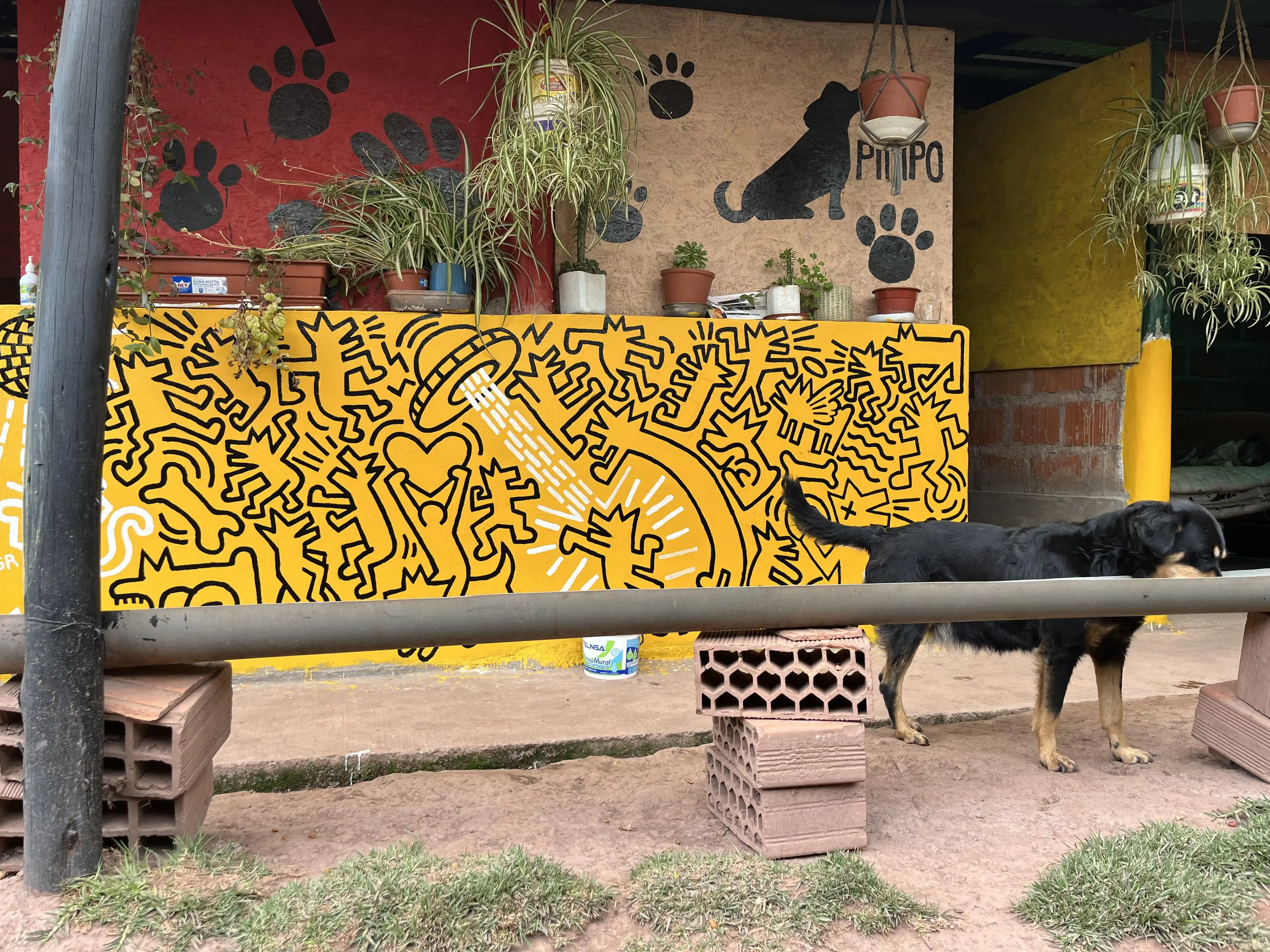 Mural pintado por Voluntaria