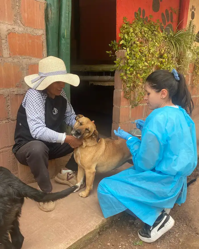 Vacunacion anual