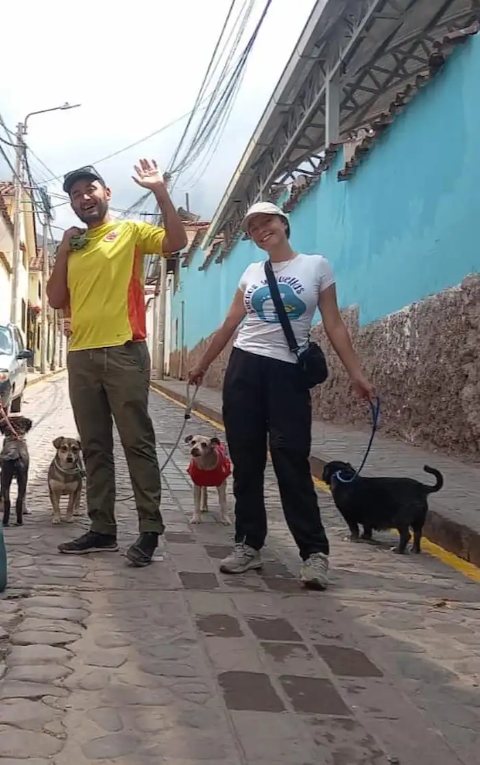 Voluntarios paseando perritos