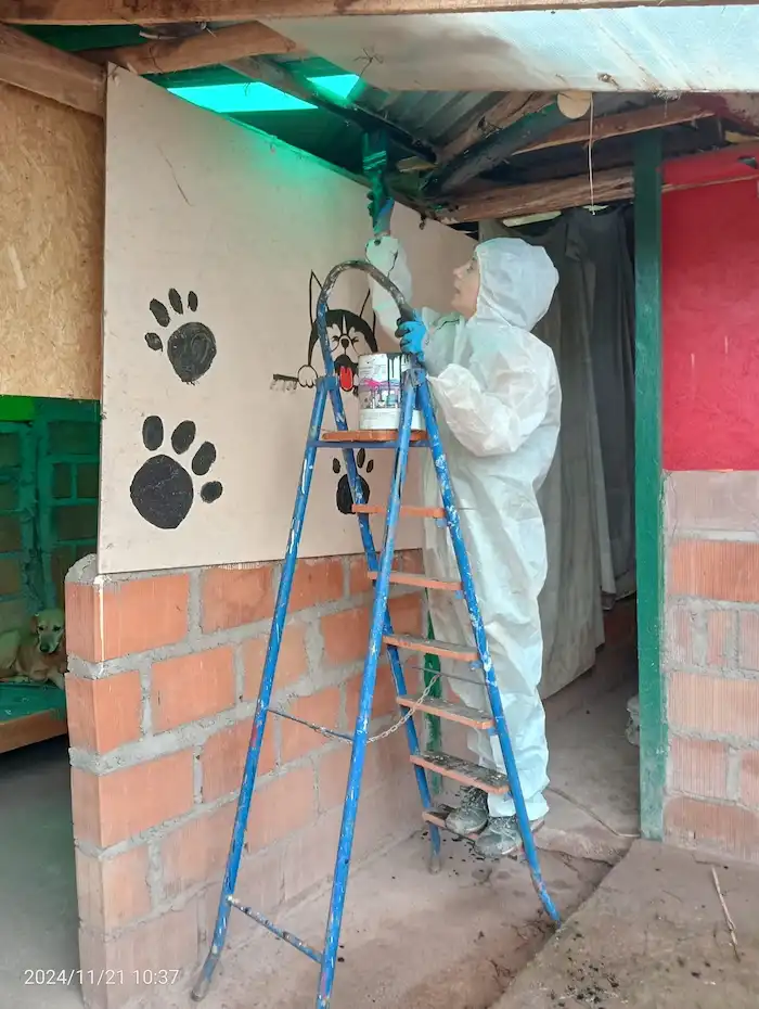 Voluntaria ayudando a pintar el refugio